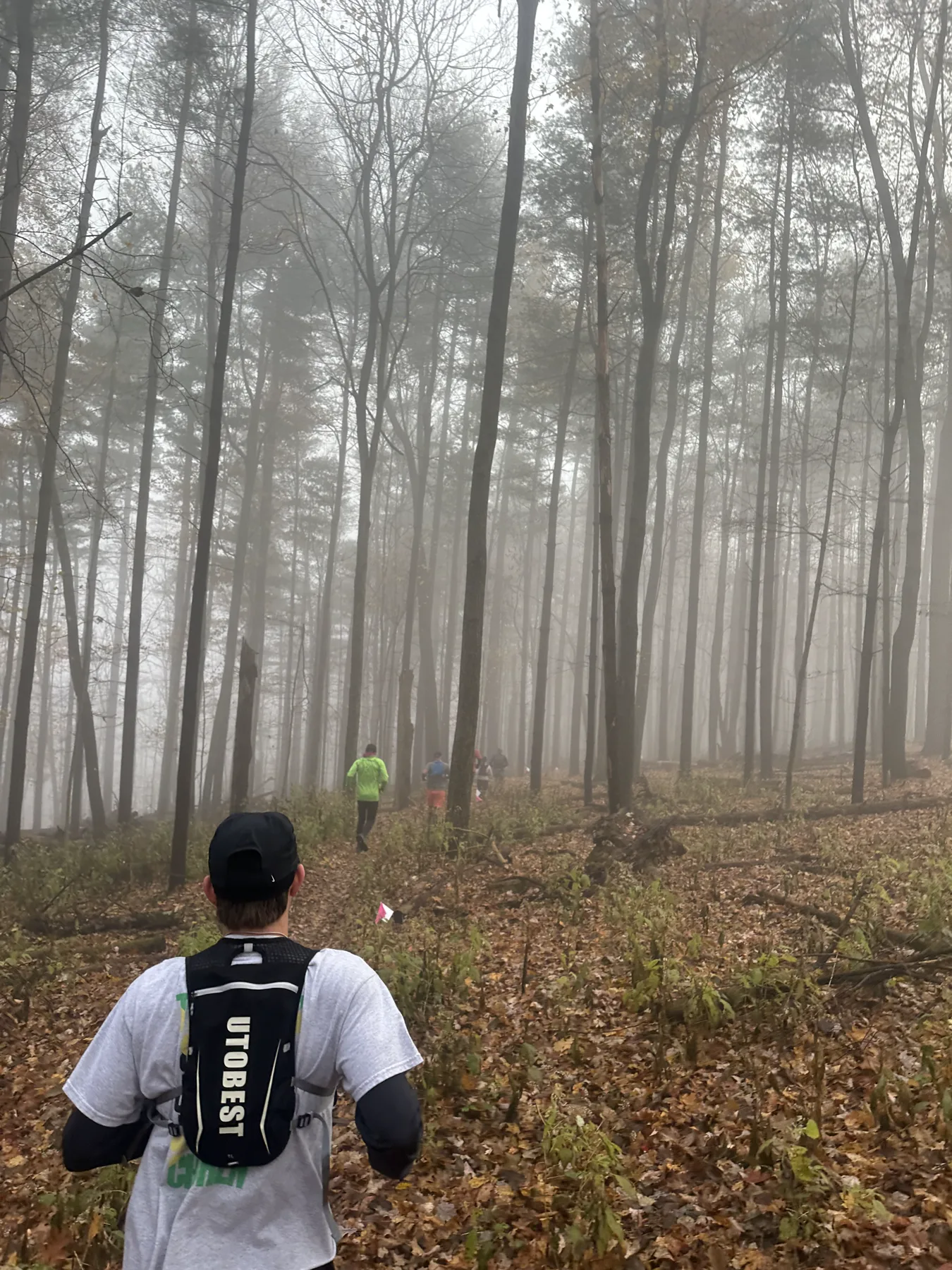 Runners moving through a foggy wooded trail at the Fuzzy Fandango